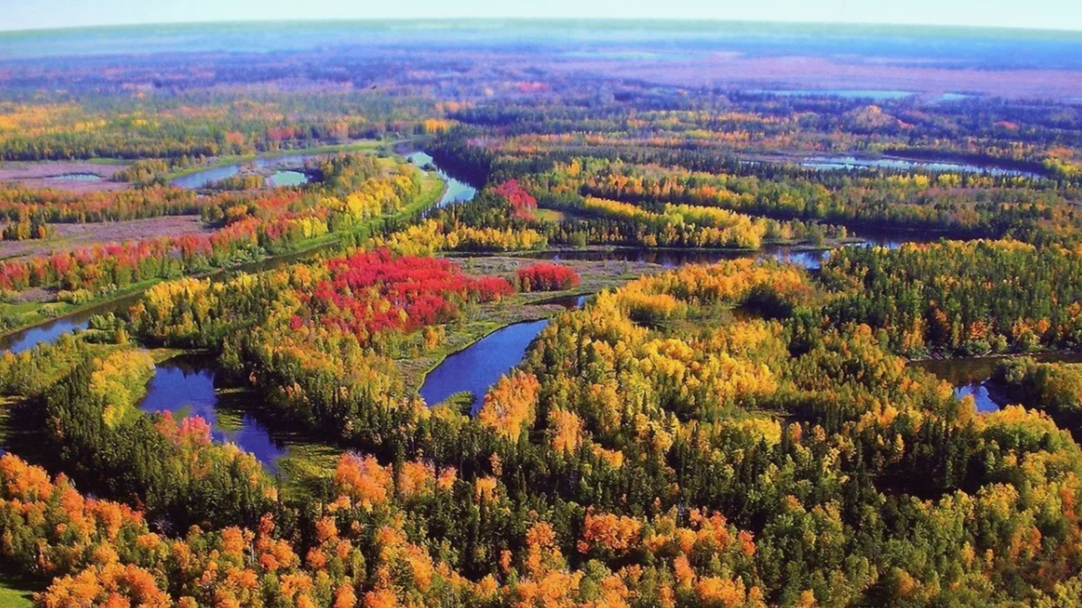 Здесь мы живём, учимся, взрослеем